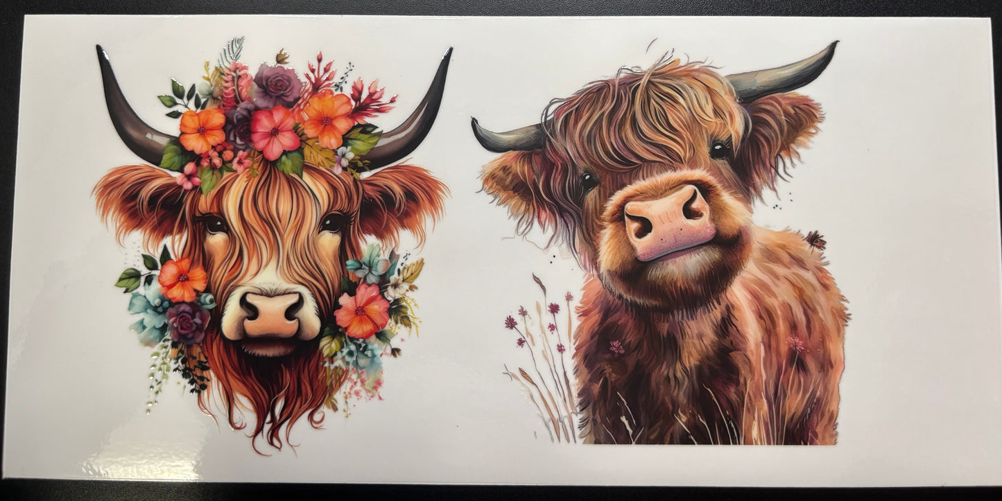 Cows/country