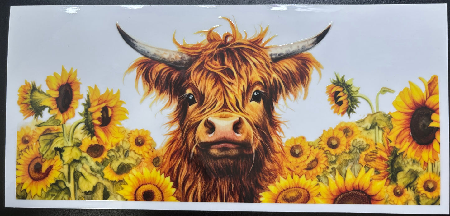 Cows/country