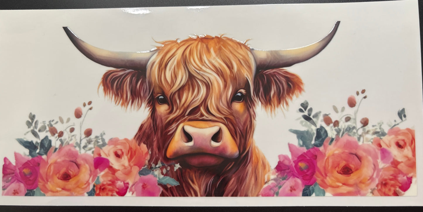 Cows/country